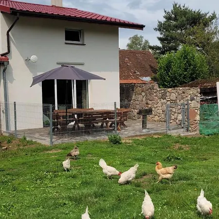 ヴィラ Agroturystyka Bladkowo 20A, Dom 11 Miejsc *