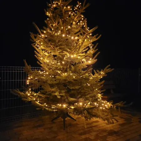 20a, Dom 11 Miejsc *