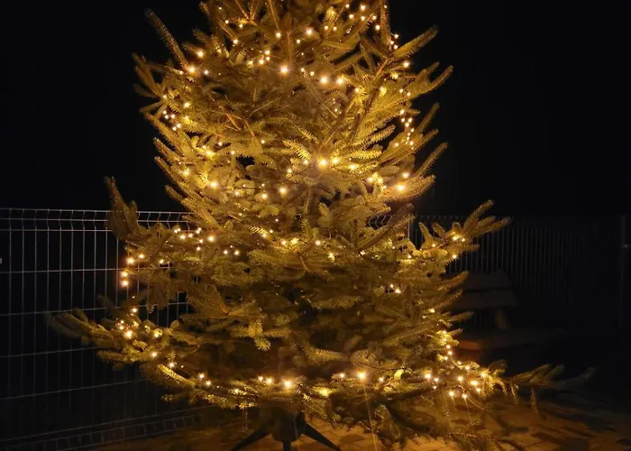 20a, Dom 11 Miejsc *